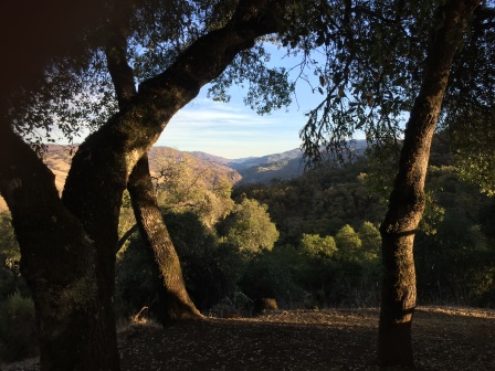 Valley View from back yard